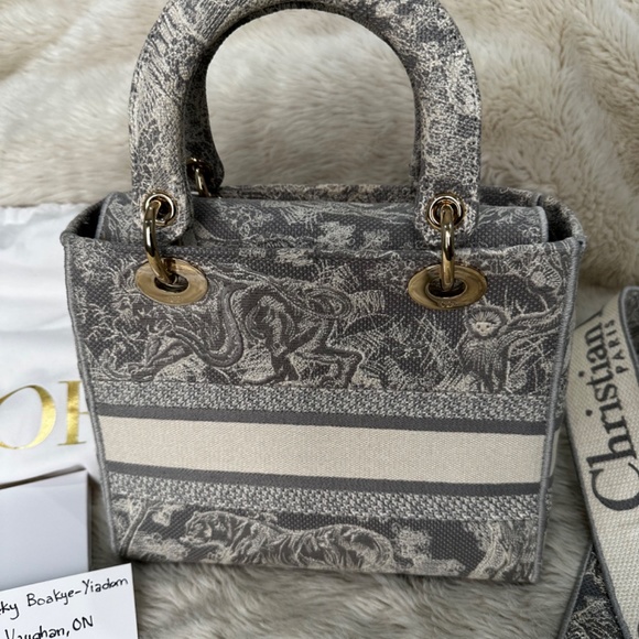 Dior Lady D-Lite Medium Gray Toile de Jouy - Picture 9 of 16